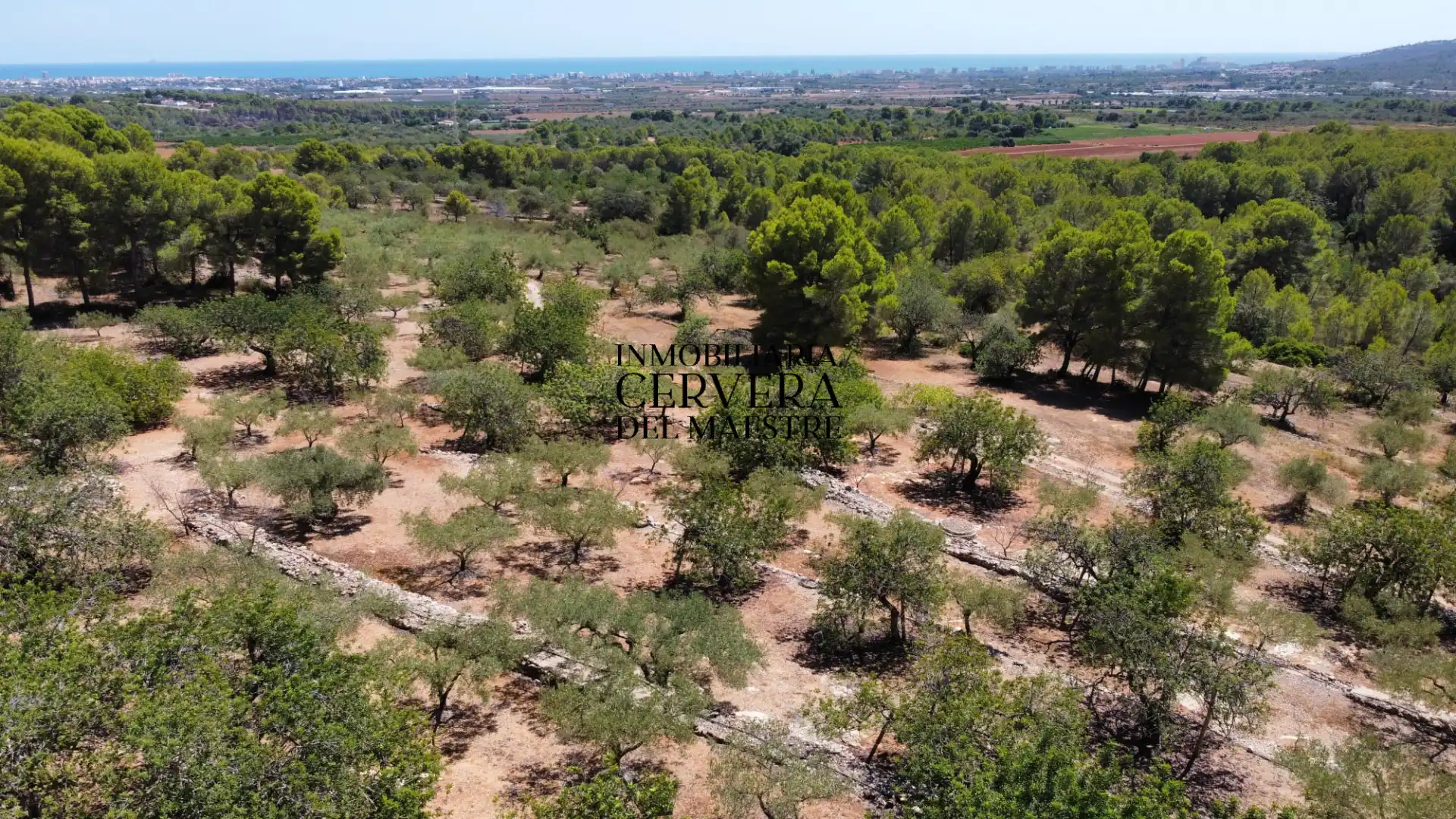 Rural land for sale in Vía Po Polígono 17 60, imagen 42