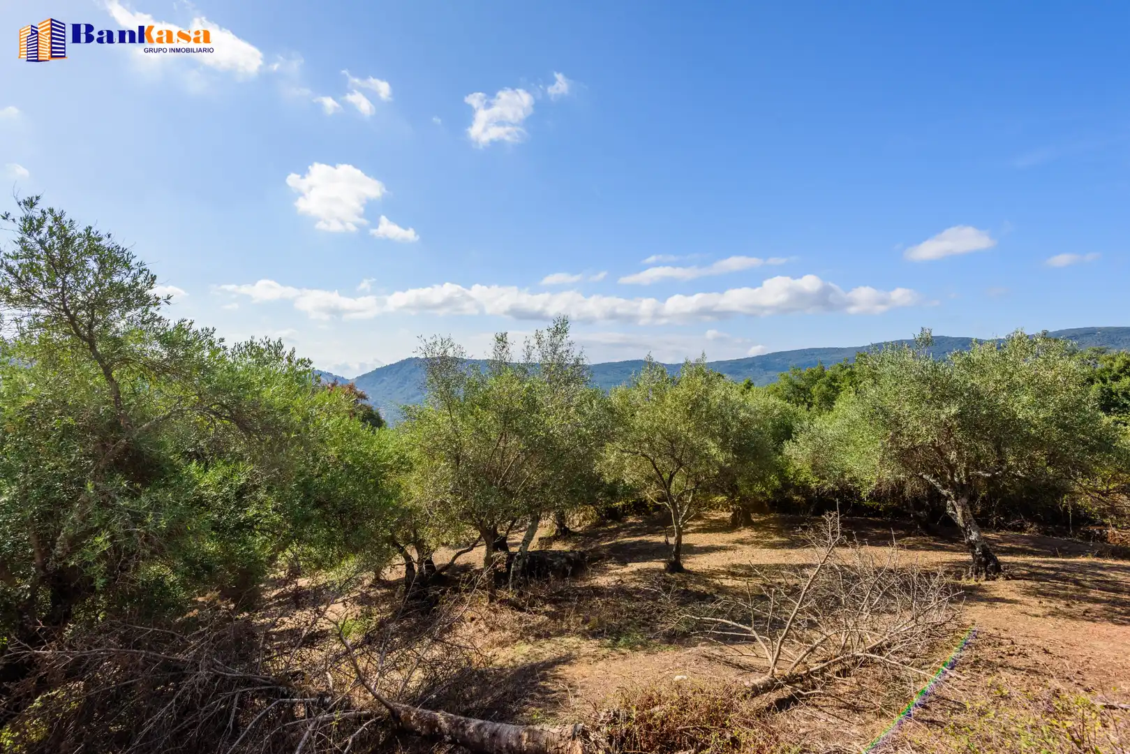 Casa o xalet en venda en Cortes de la Frontera amb Calefacció, Jardí privat i Moblat