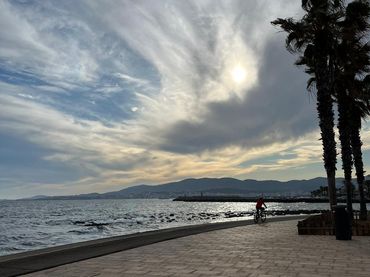 Terreni e lotti in vendita a Platja de Palma
