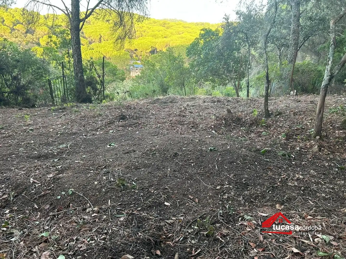 Casa rustica in vendita a Periurbano Oeste - Sierra, imagen 12