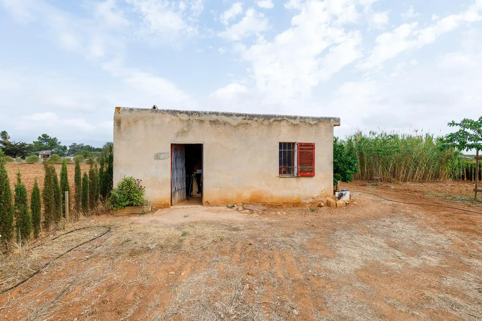 Terreny rústic en venda a Santa Eugènia, imagen 7