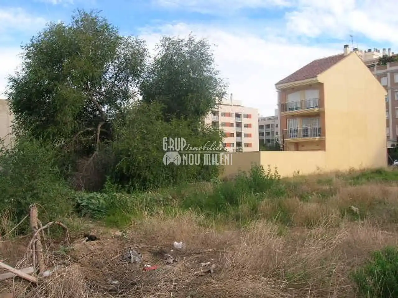 Rural land for sale in Massanassa, imagen 6