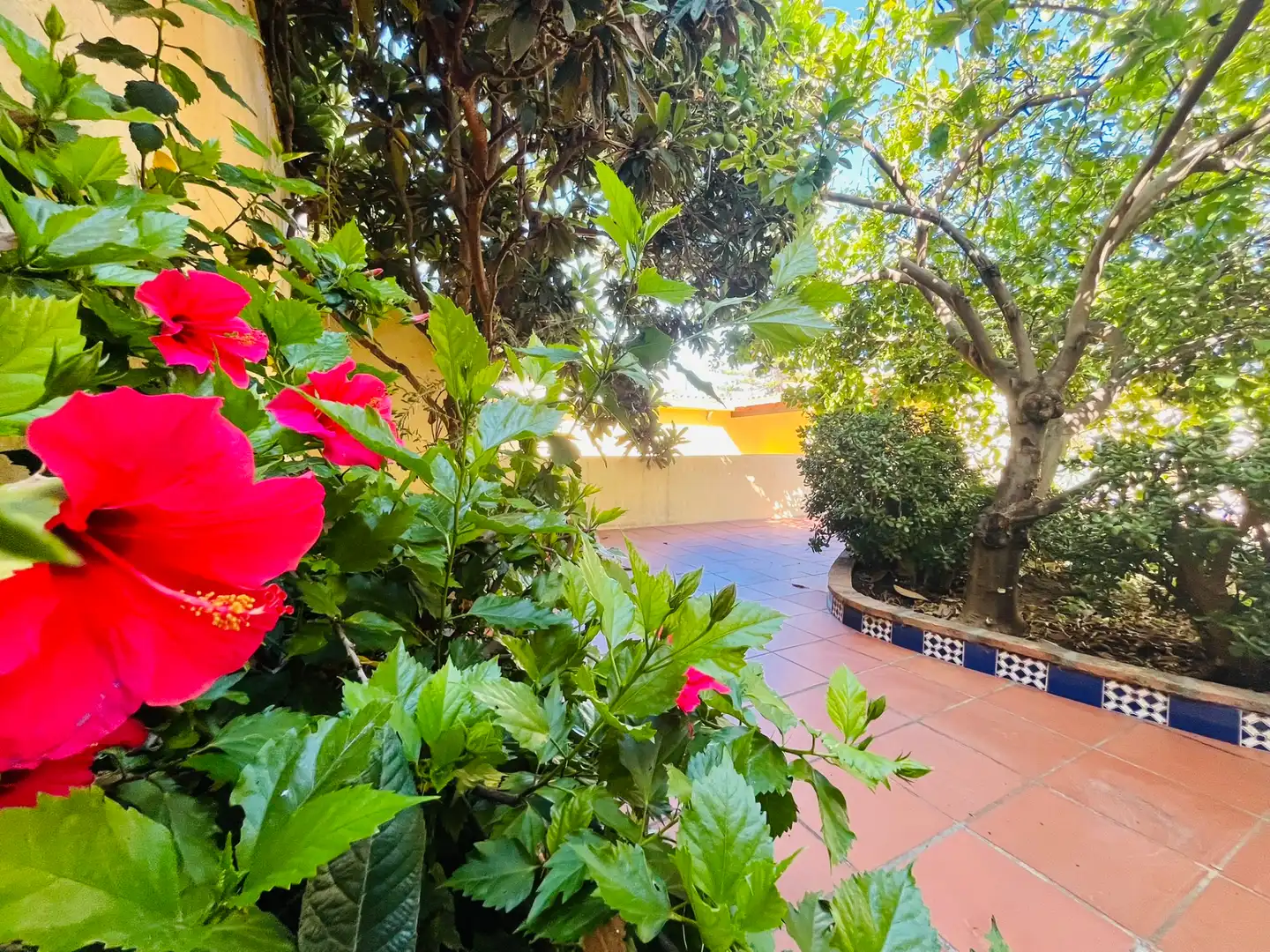 Jardín de Casa o chalet en venta en Fuengirola con Aire acondicionado, Jardín privado y Terraza