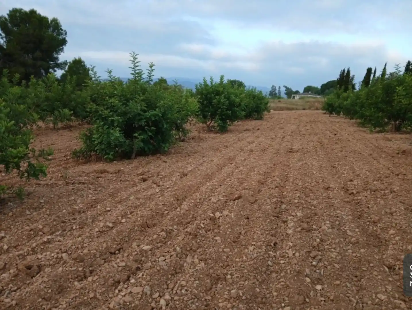 Rural land for sale in Llano de la Paridera 576, imagen 2