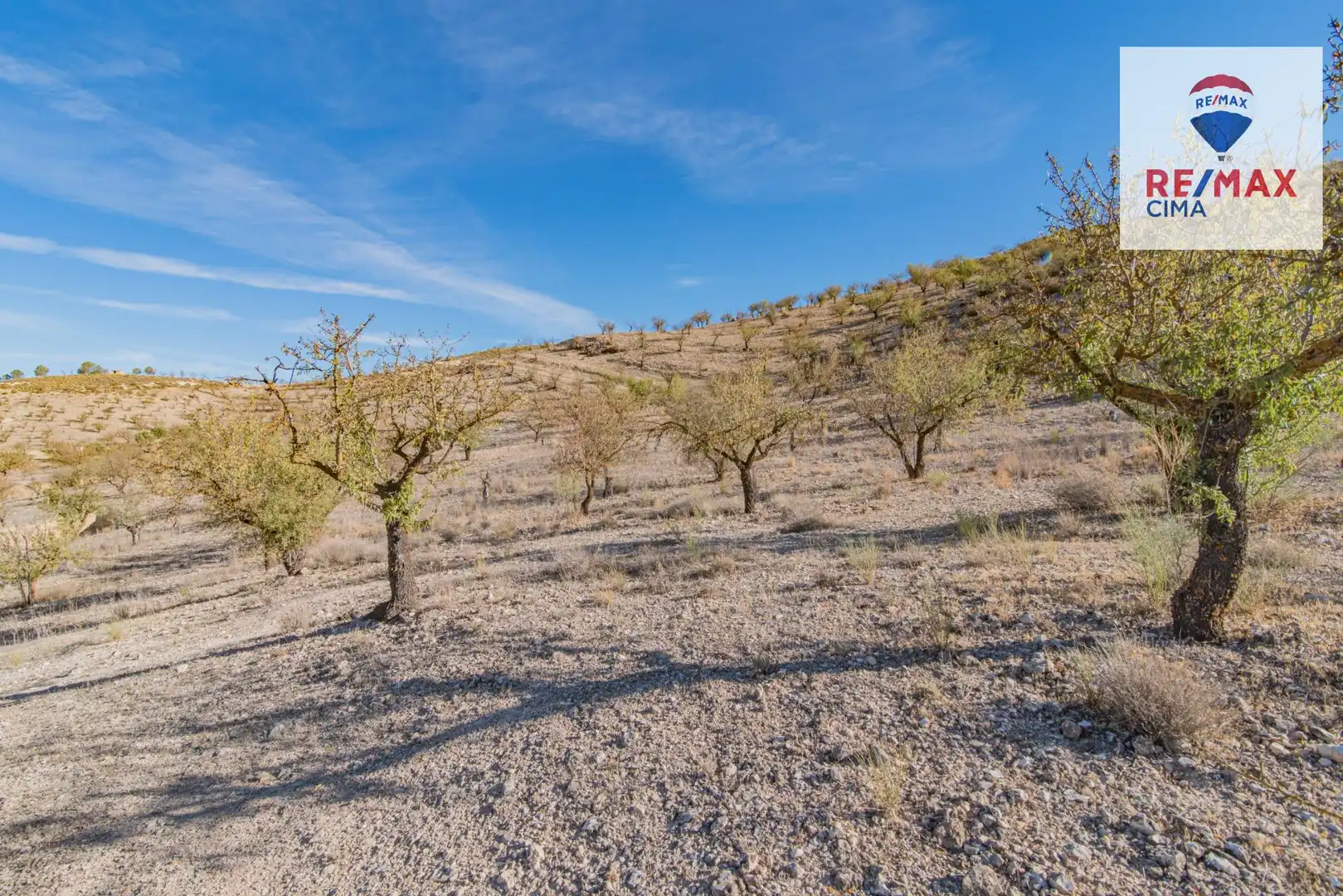 Terreno en venta en Santa Cruz del Comercio