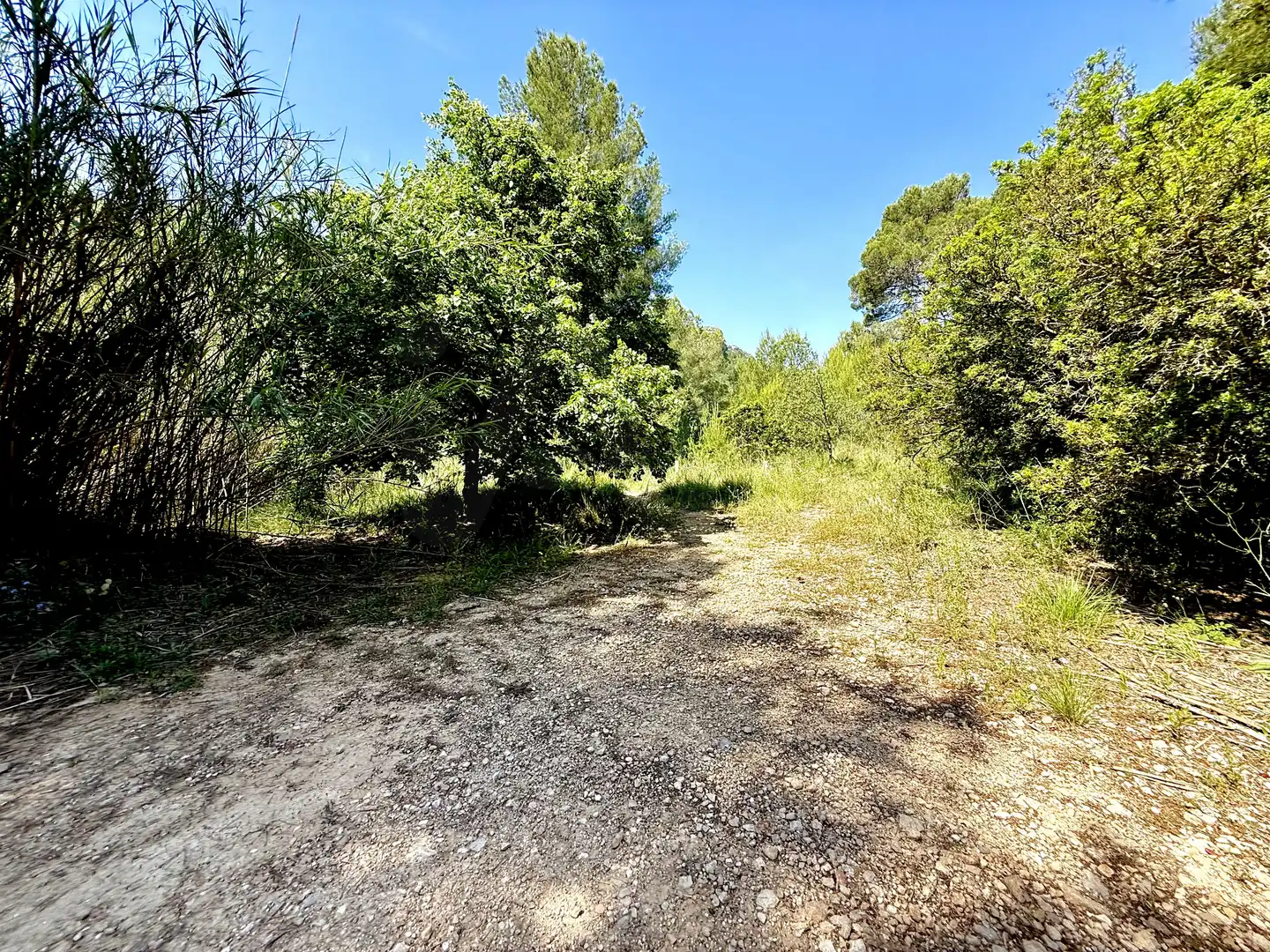 Terreno en venta en Llíber