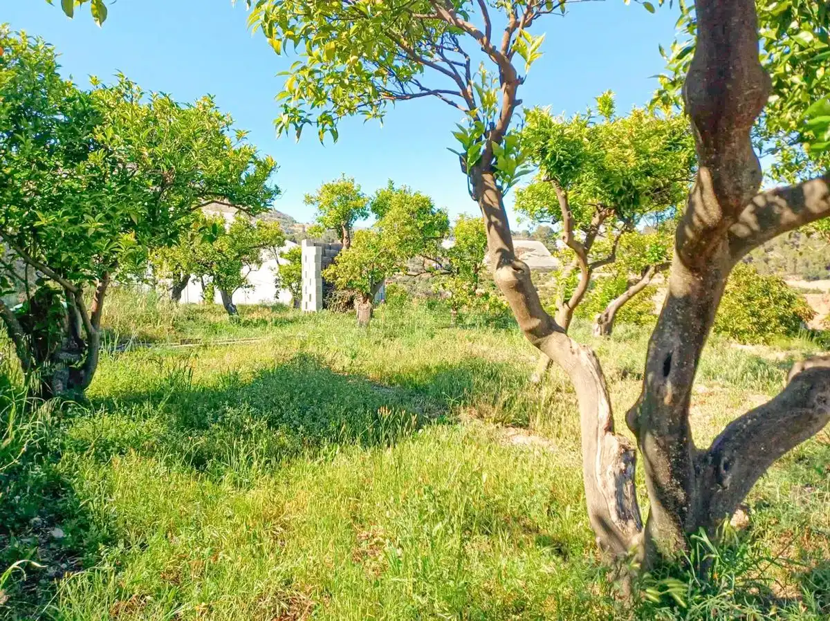 Finca rústica en venta en Polop