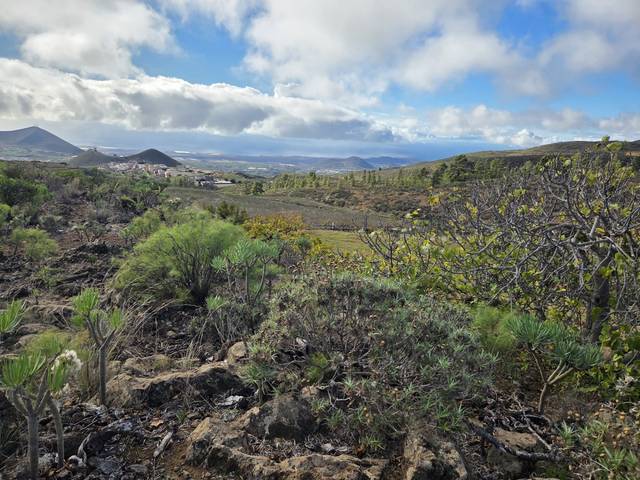 Terreno en Venta en Charco del Pino