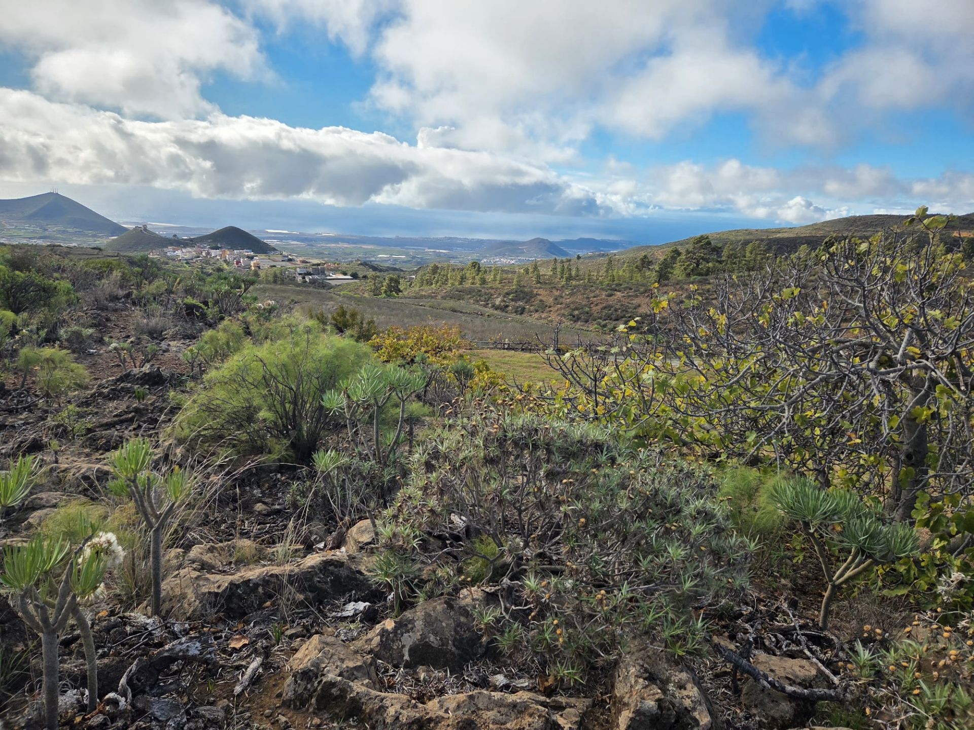 Grundstücke zum Verkauf in Charco del Pino