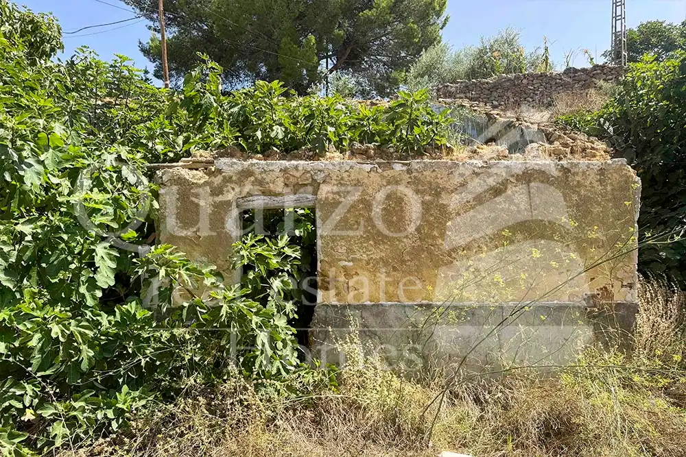 House with garden for sale in Calle Proyecto Número 3, imagen 5