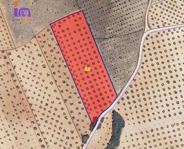 Terreno en Venta en Valdepeñas