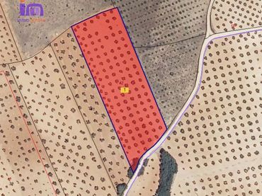 Rustikales Grundstück zum Verkauf in Valdepeñas
