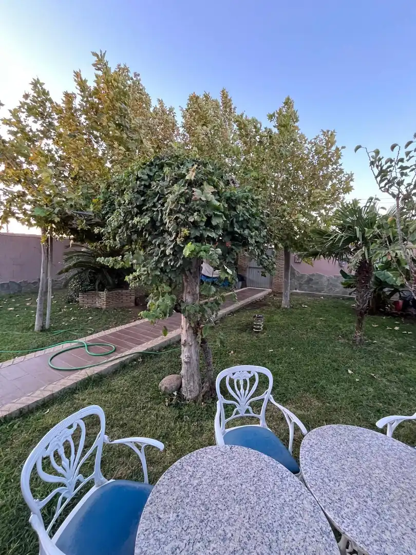 Garden of Houses for sale in Chiclana de la Frontera  with Private garden