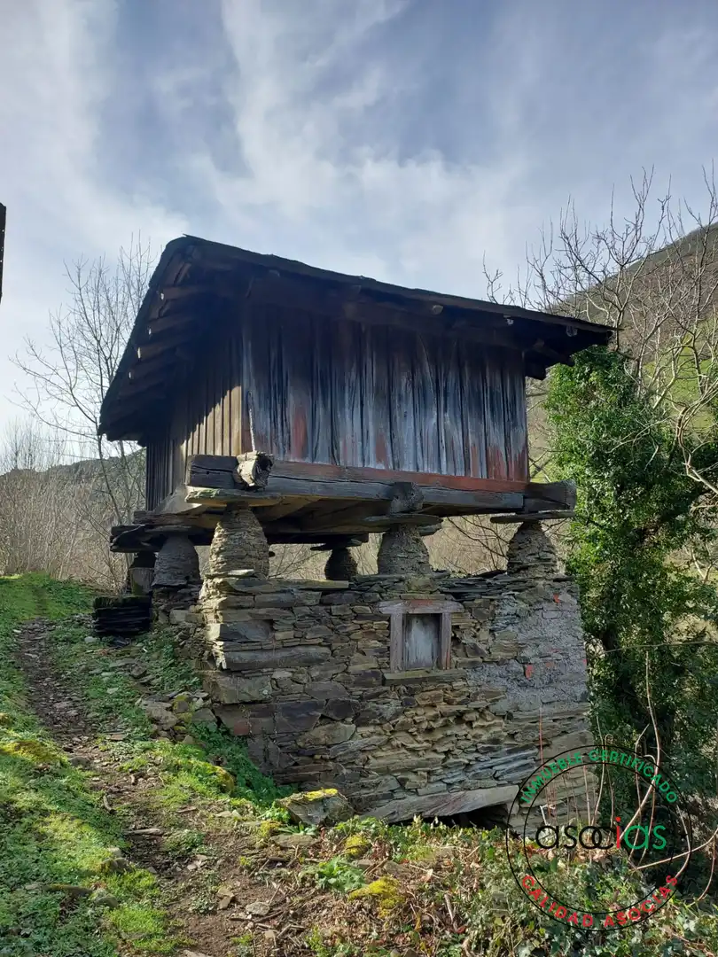 Haus mit Garten zum Verkauf in Cangas del Narcea - CS CIELLA, imagen 23