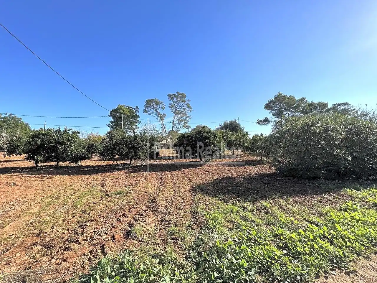 Terreno rustico in vendita a Algaida