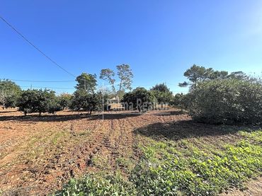 Terreno rústico en venta en Algaida