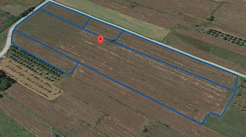 Terreno rustico de regadío de 35.548m con casa de campo para reformar de 25m en Partida Les Bassoles de Ulldecona Tarragona., immagine 5