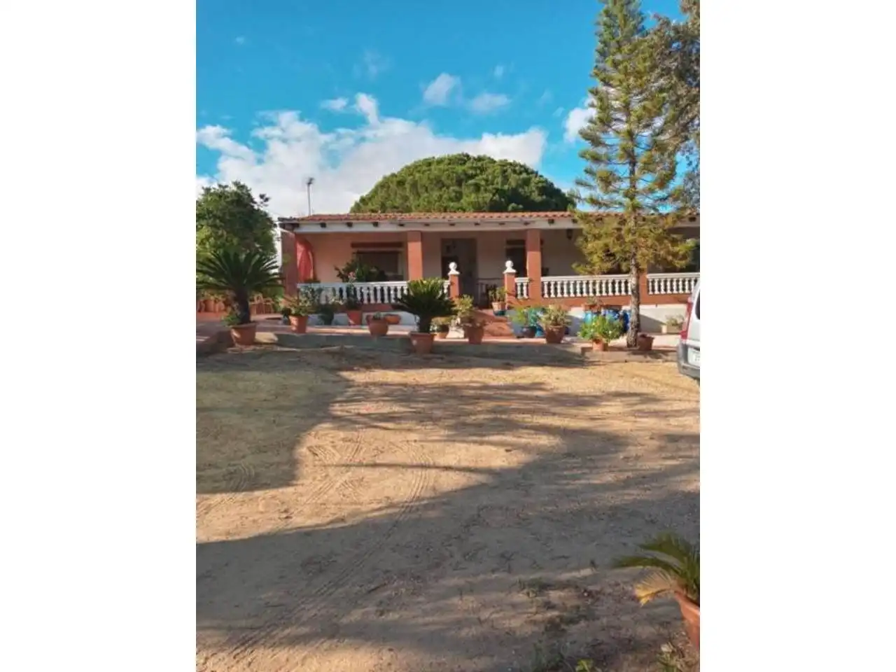 Jardí de Finca rústica en venda en San Bartolomé de la Torre amb Jardí privat i Terrassa