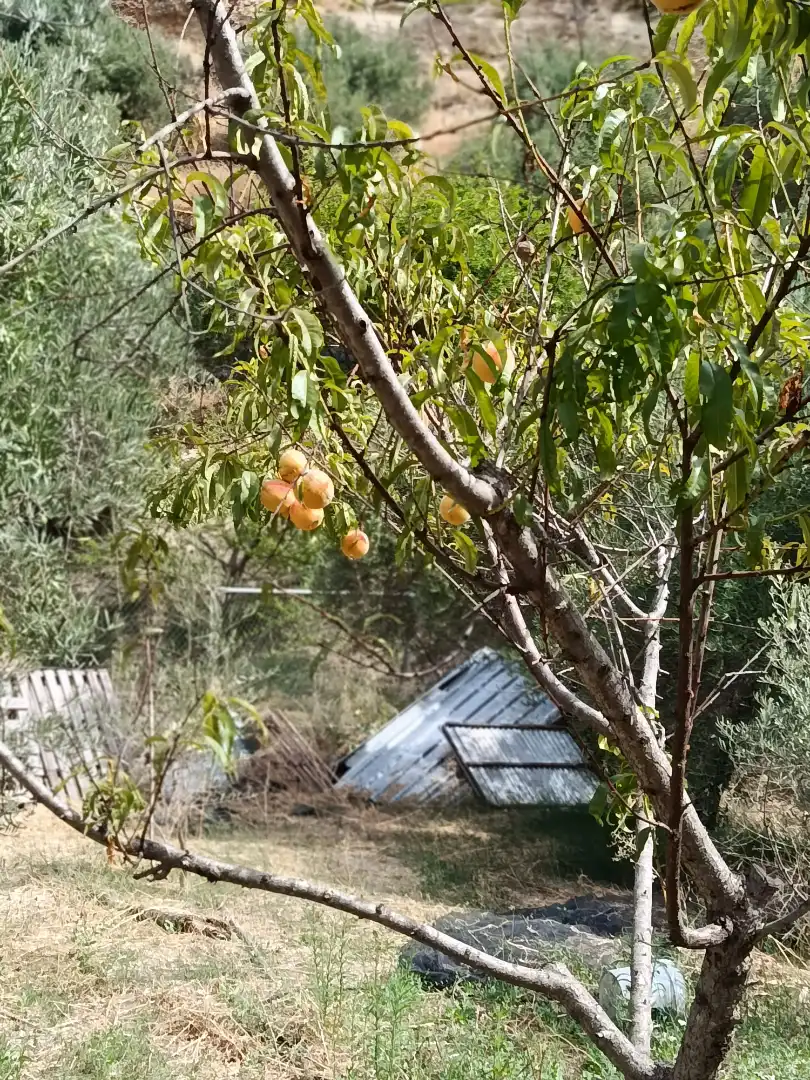 Terreni e lotti in vendita a Camino de las Huertas Grandes, imagen 2