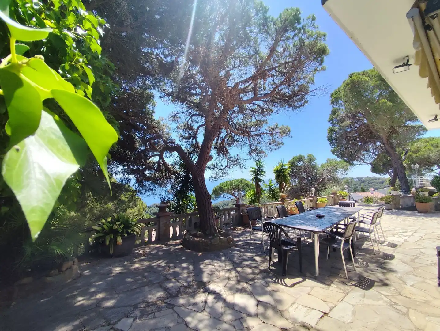 Villa avec piscine à vendre à Calle DAMIA, imagen 35