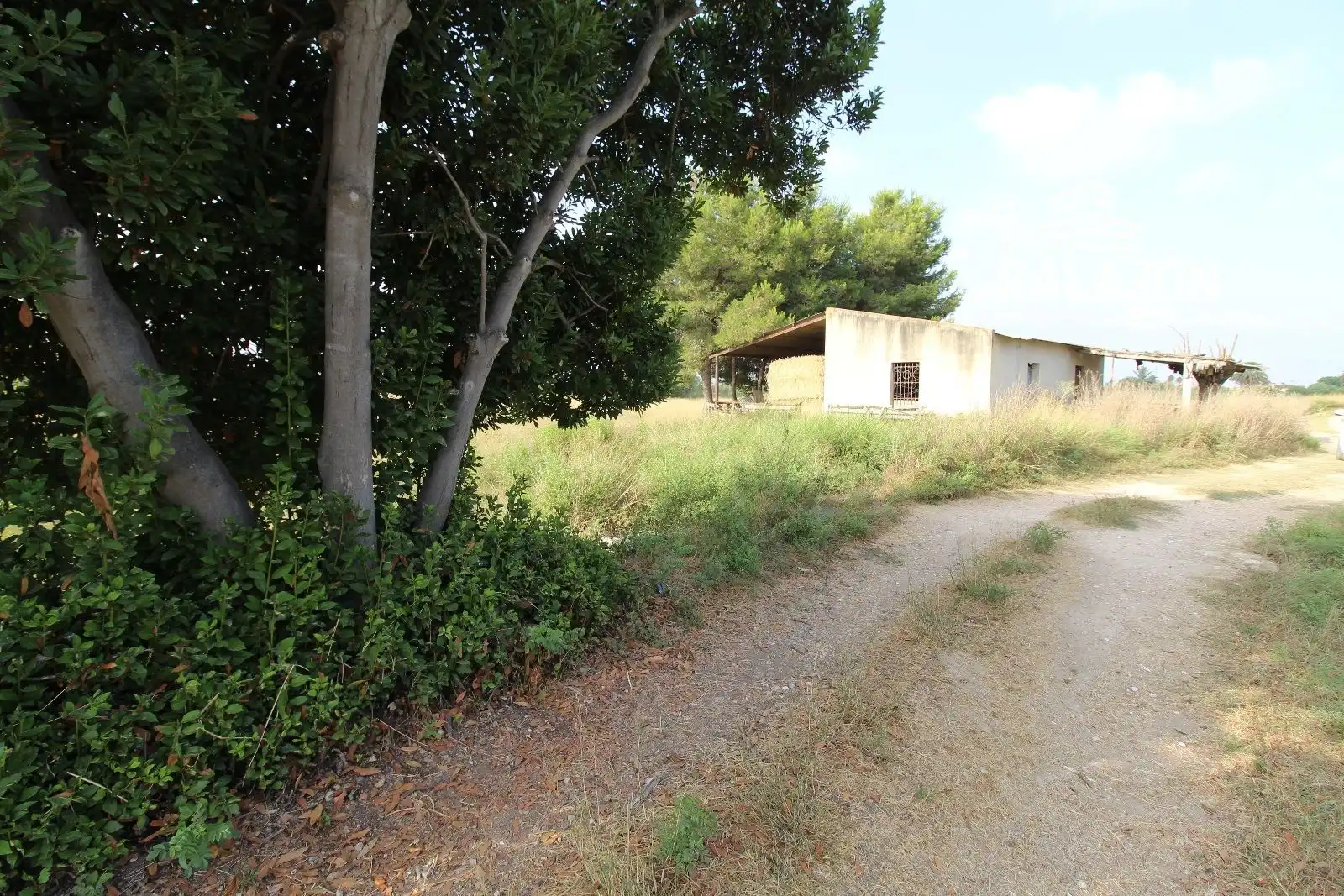 Terrain rustique à vendre à Catral, imagen 2