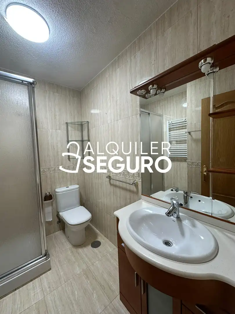 Bathroom of Flat for rent in Fuenlabrada II - El Molino