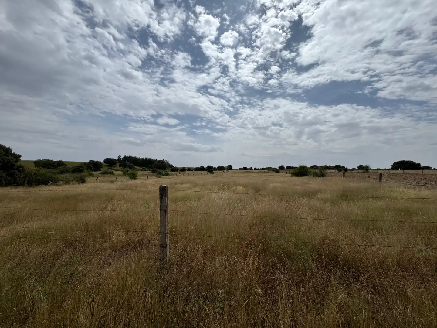 Terreno en venta en Añover de Tormes