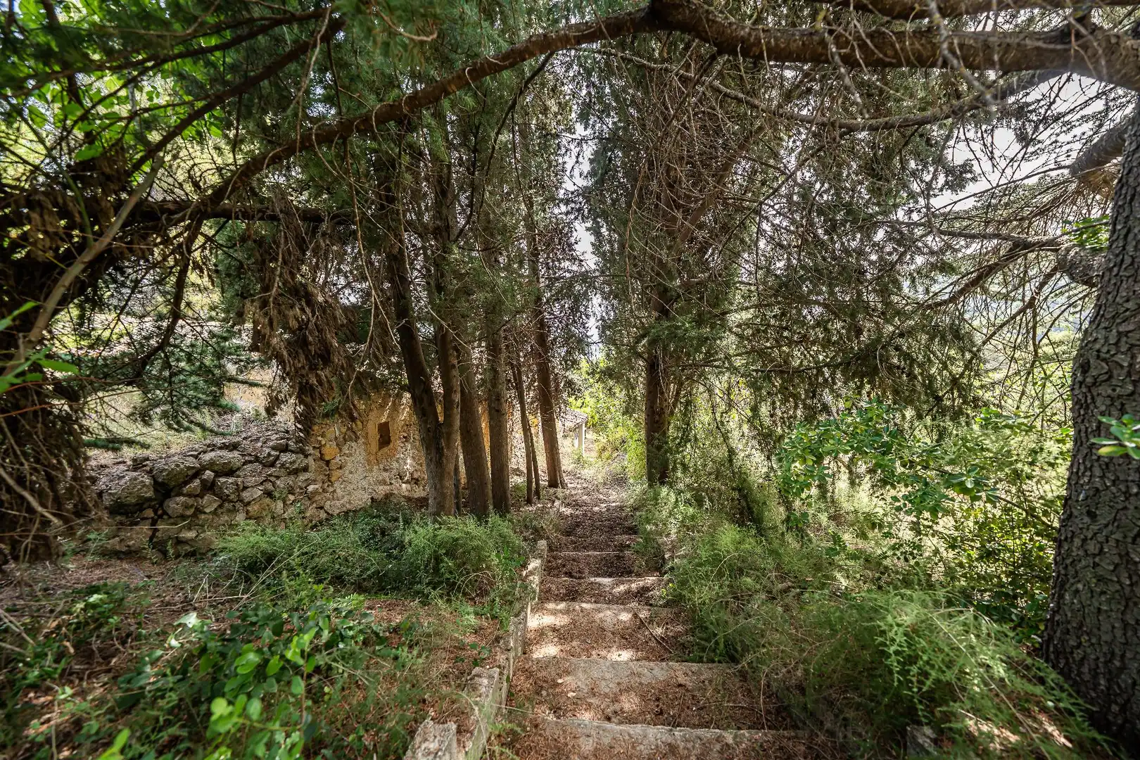 Finca rústica en venta en Moratalla con Piscina