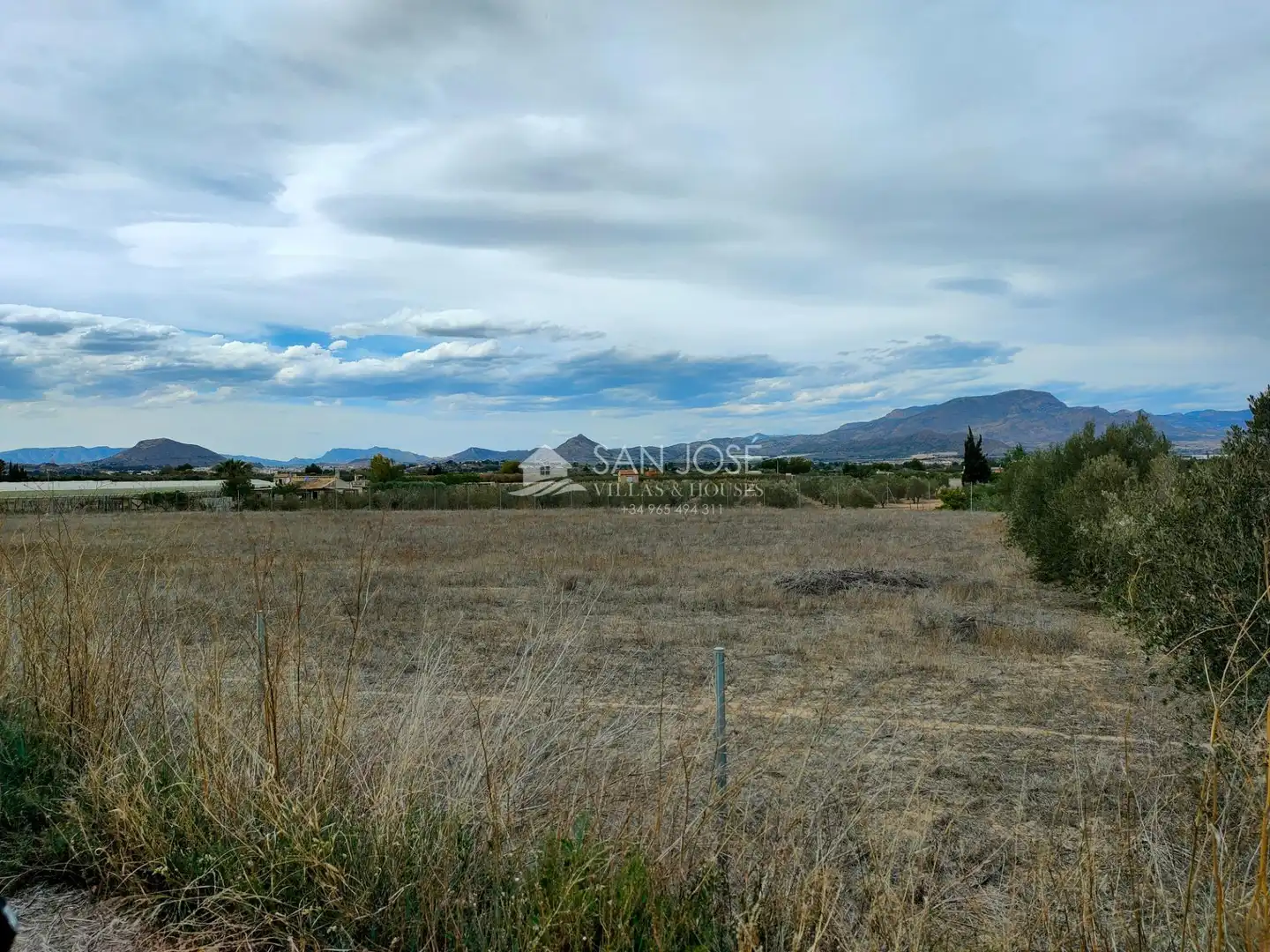 Houses for sale in Aspe