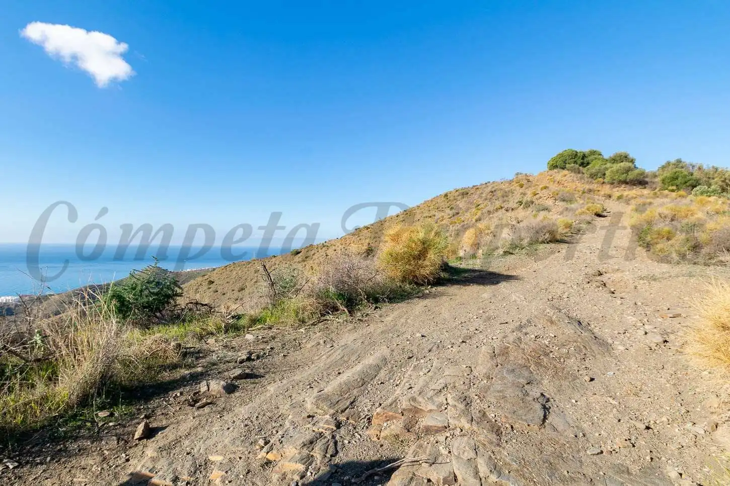 Rural land for sale in El Peñoncillo, imagen 2