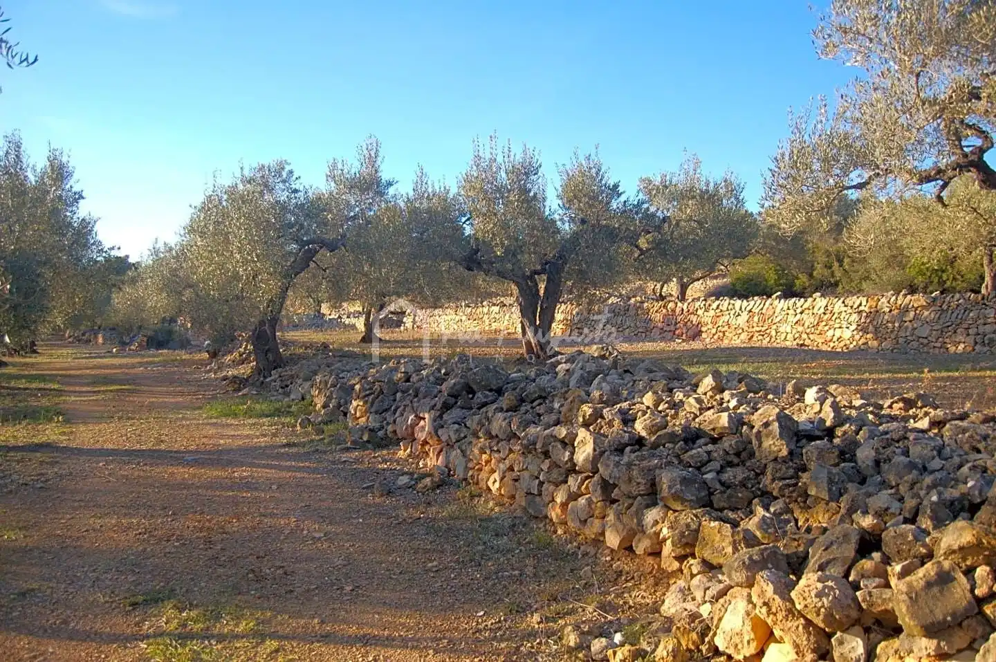 Terreno rustico in vendita a Burgà, imagen 3