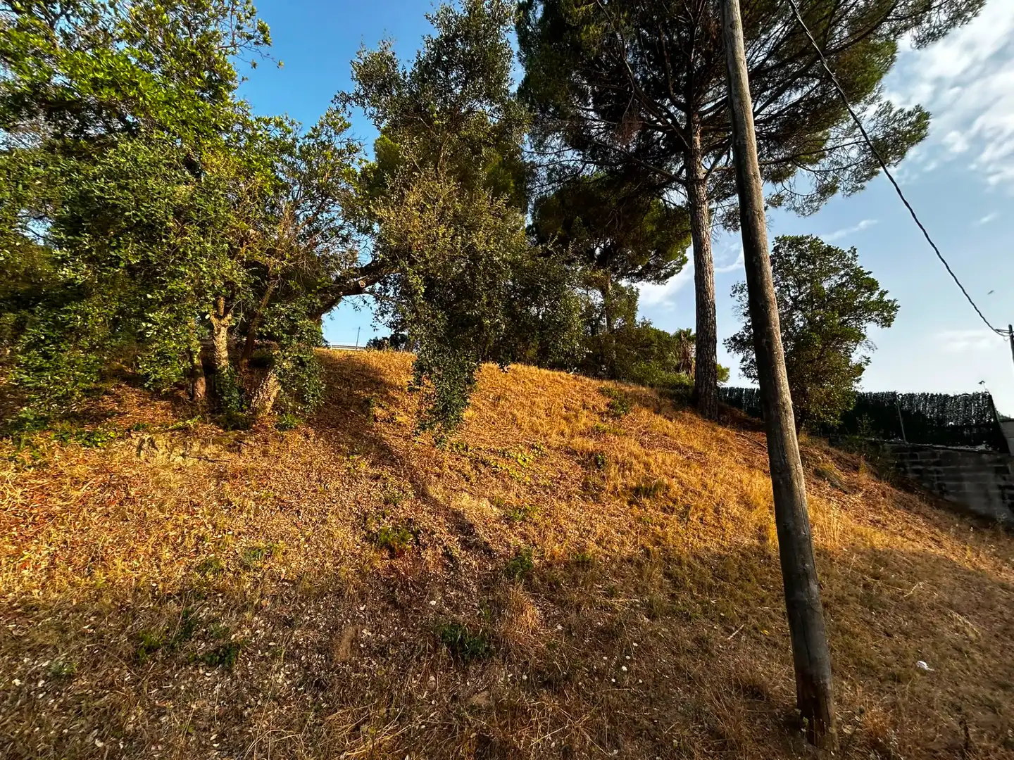 Terreno residencial en venta en Mas Mora - Sant Daniel, imagen 6