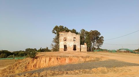 Foto 2 de Finca rústica en venda a A-8077, Olivares, Sevilla