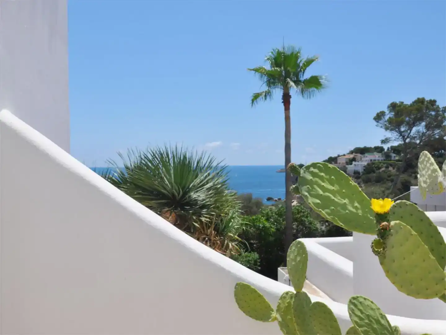 Vista exterior de Casa o chalet en venta en Calvià con Aire acondicionado, Jardín privado y Piscina