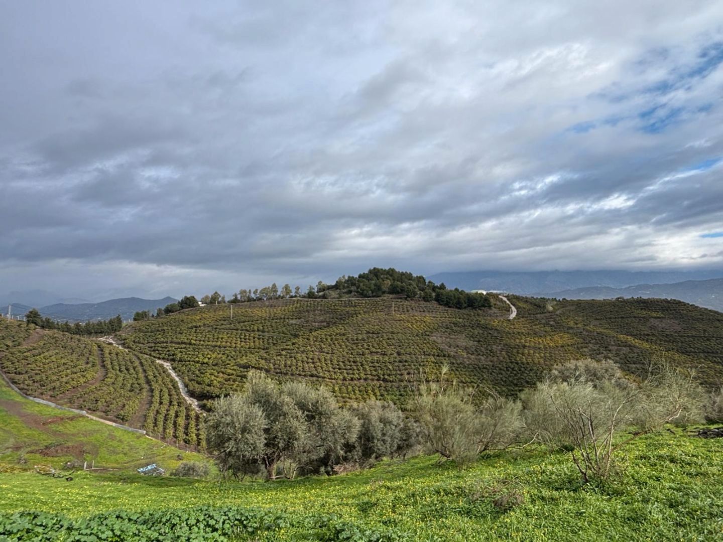 Land for sale in Vélez-Málaga