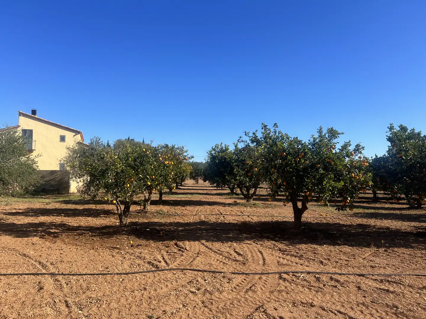 Country house zum Verkauf in Roda de Berà mit Klimaanlage, Heizung und Privatgarten