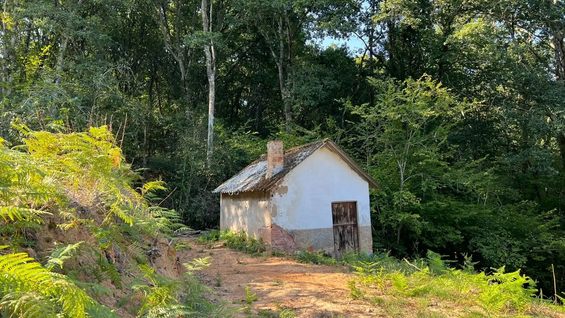 Vista exterior de Terreno en venta en Parres