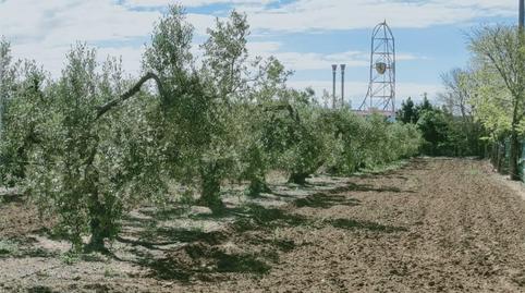 Photo 2 of Land for sale in Lloc Masia Morell, Vila-seca Poble, Tarragona