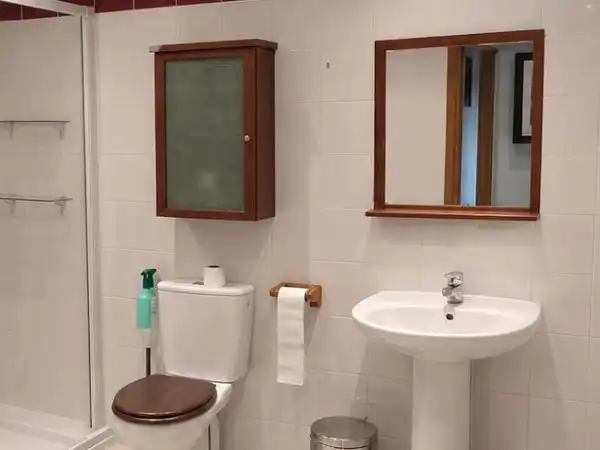Bany de Dúplex en venda en Burgos Capital amb Balcó