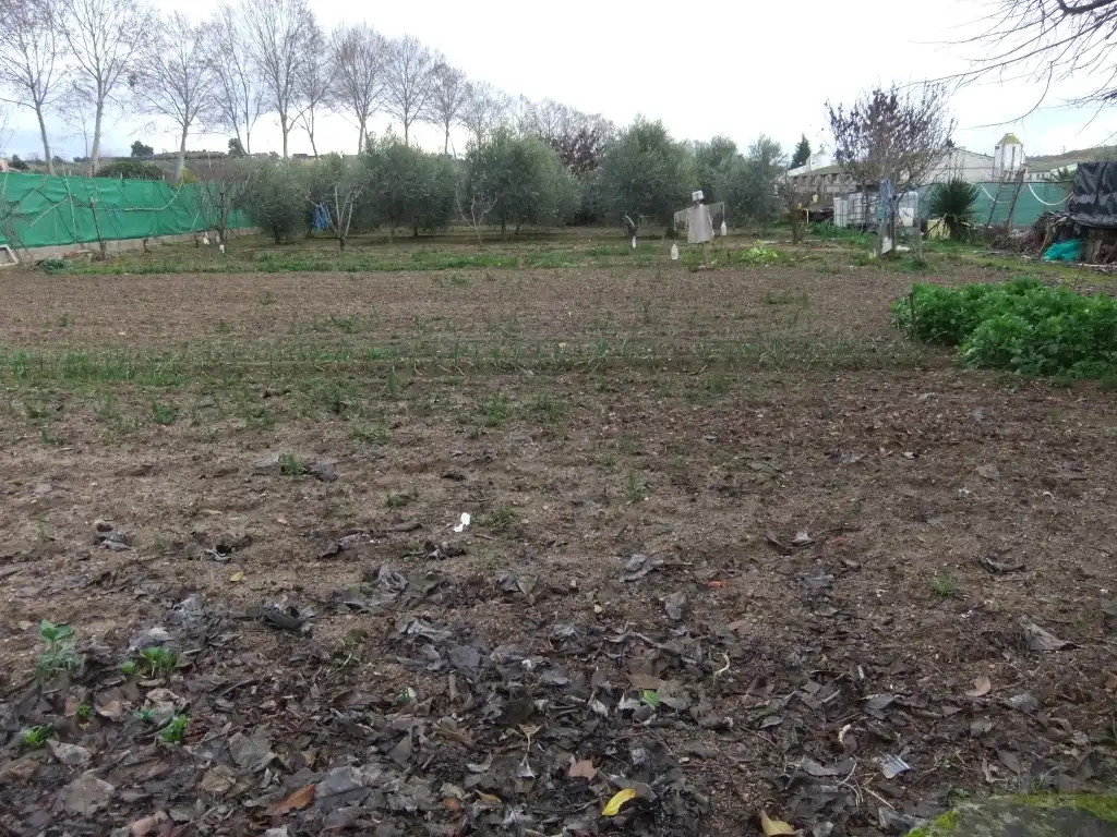 Terreny en venda en Les Borges Blanques
