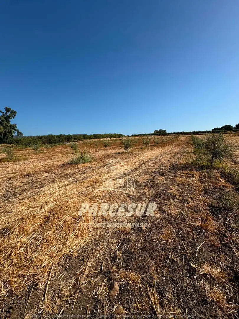 Terreno rustico in vendita a Periurbano Oeste - Sierra, imagen 4