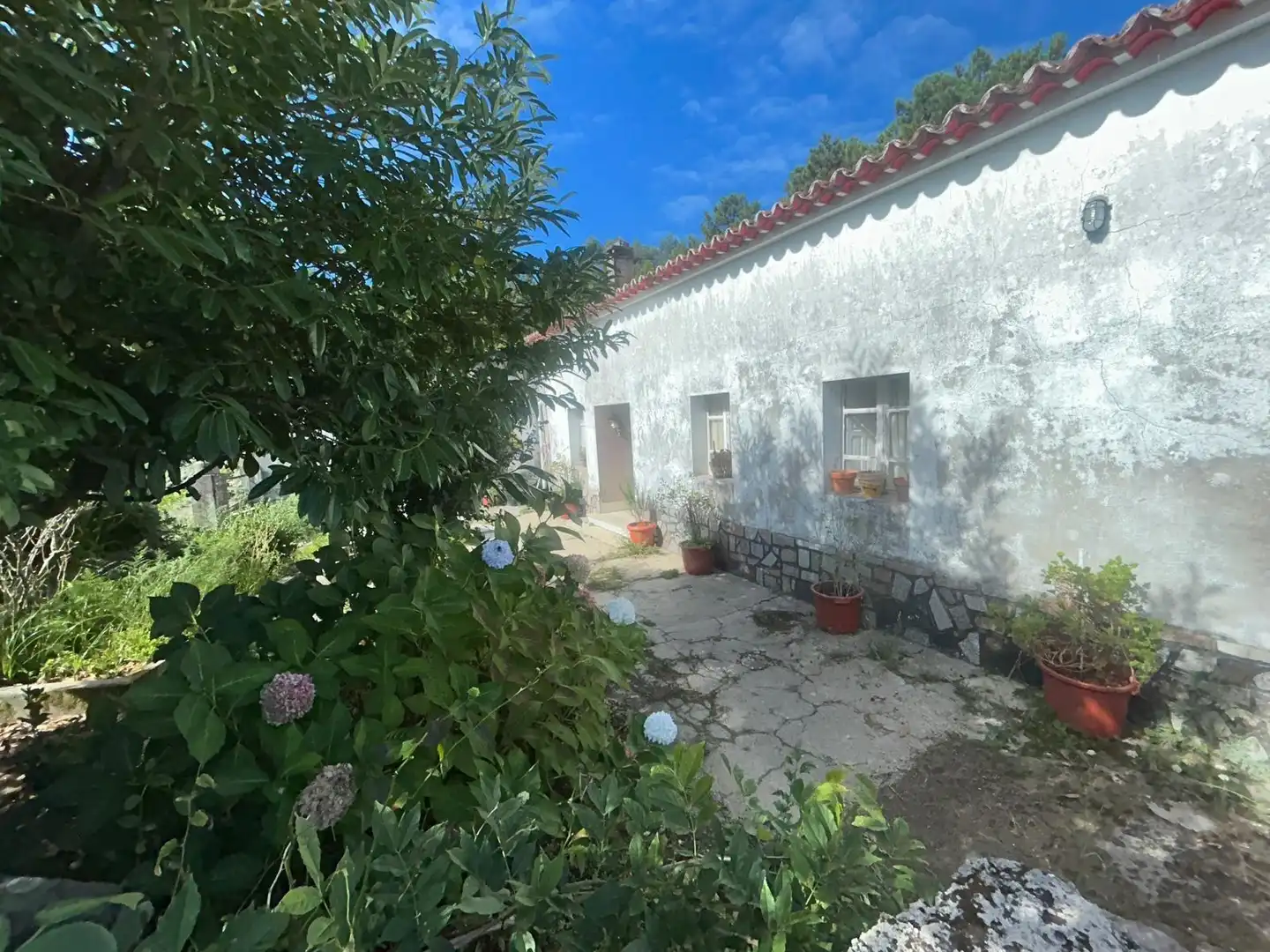 Vista exterior de Casa o xalet en venda en Ribeira amb Jardí privat