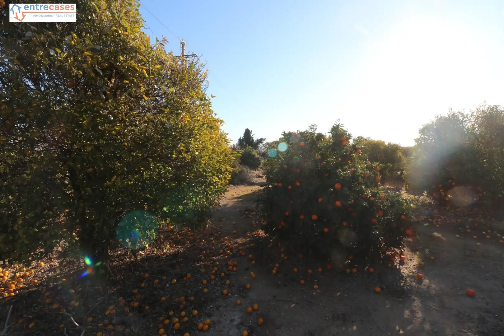 Rural land for sale in Canet d'En Berenguer, imagen 13