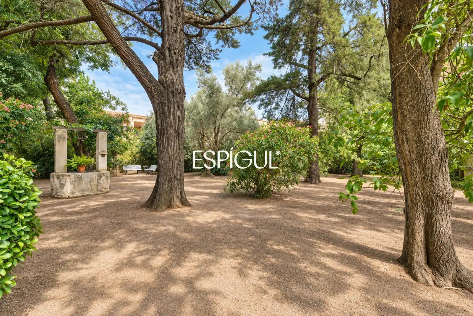 Maison avec terrasse à vendre à Codina, imagen 6
