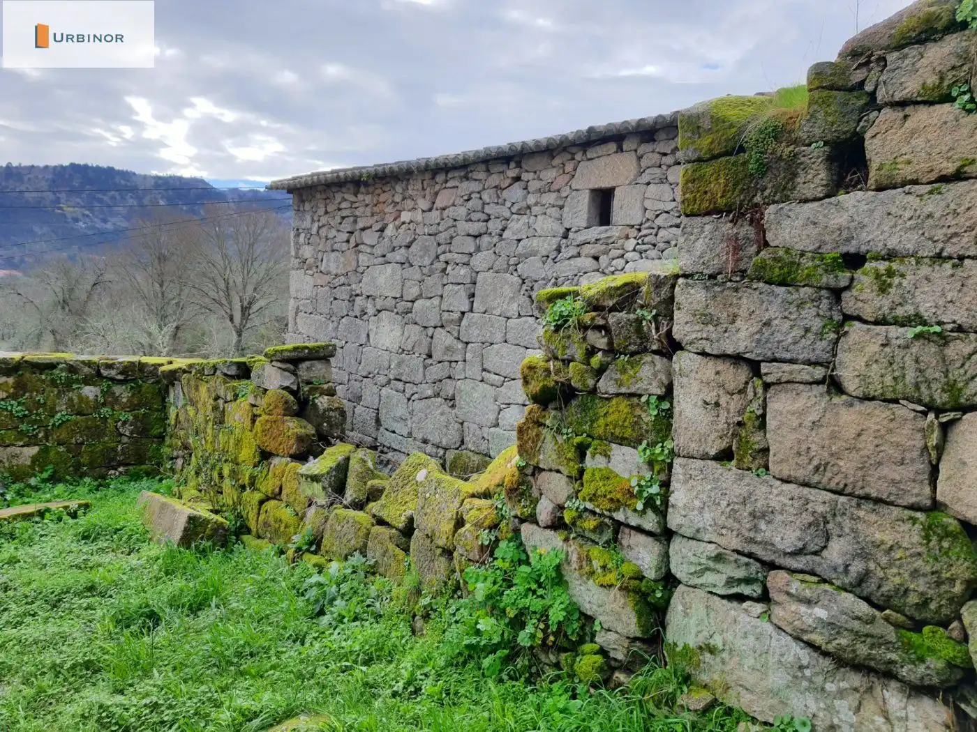 Houses for sale in San Rosendo