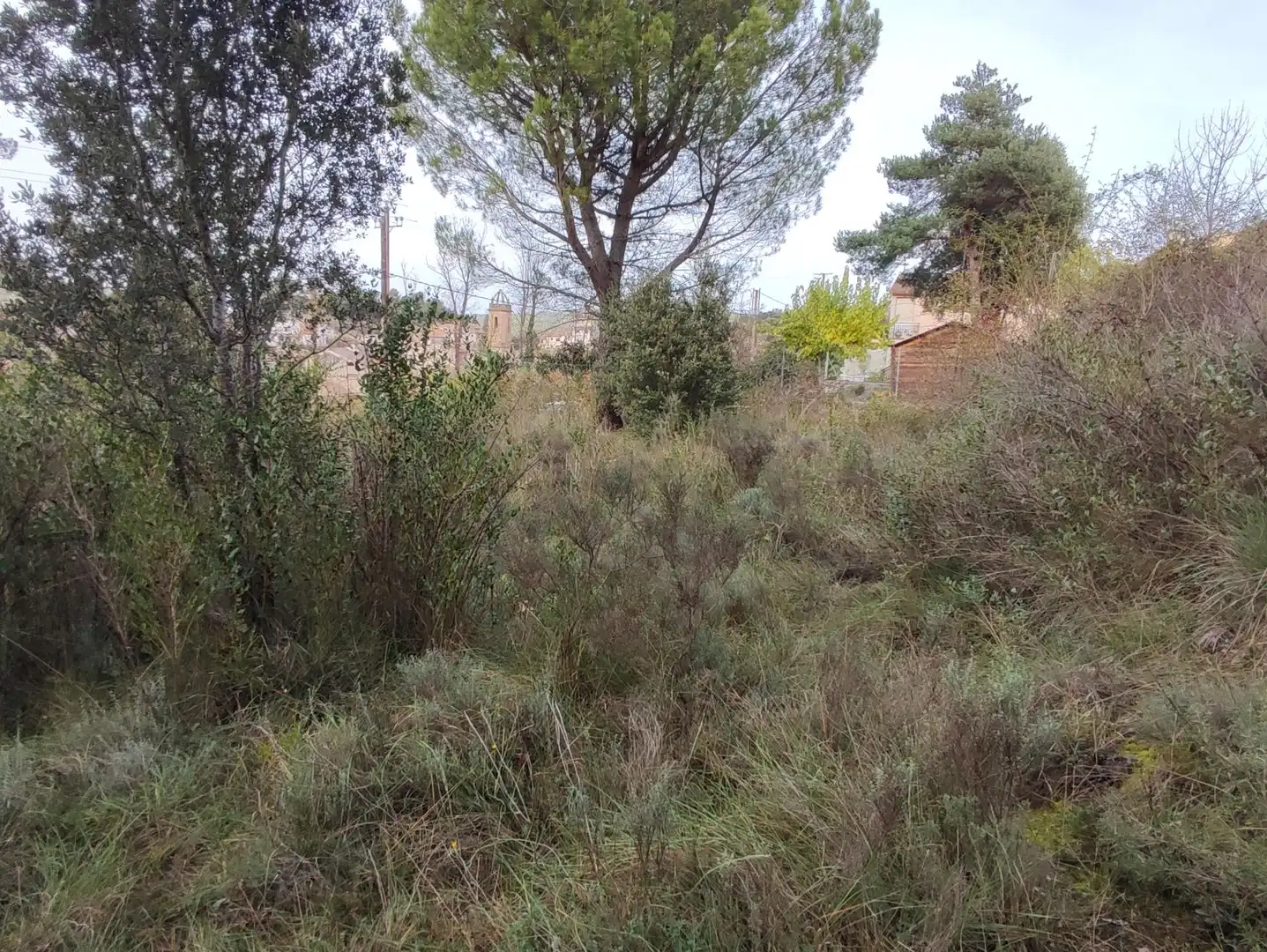 Terrain rustique à vendre à Monistrol de Calders, imagen 34