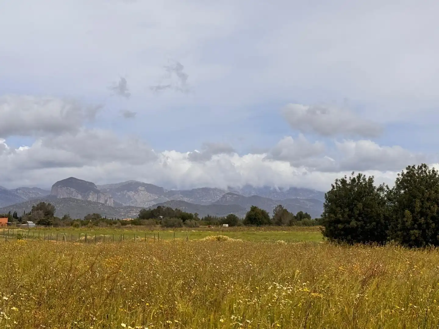 Fabrik Grundstücke zum Verkauf in Santa Eugènia