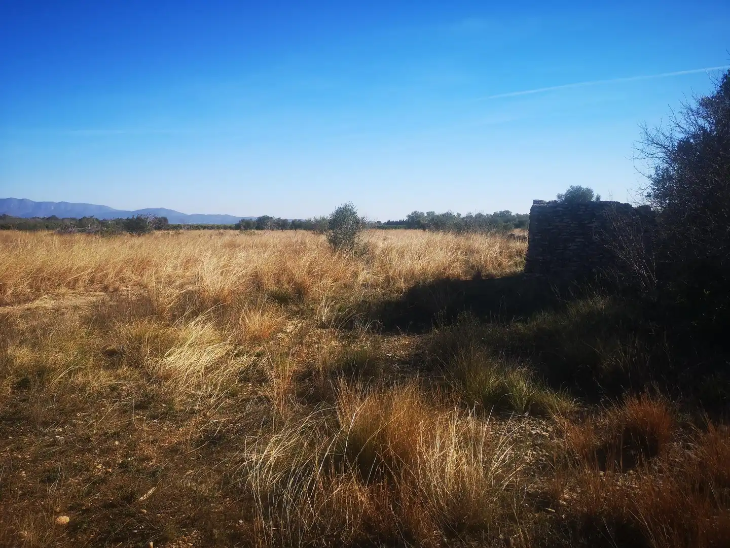 Terreno rustico in vendita a Traiguera, imagen 9