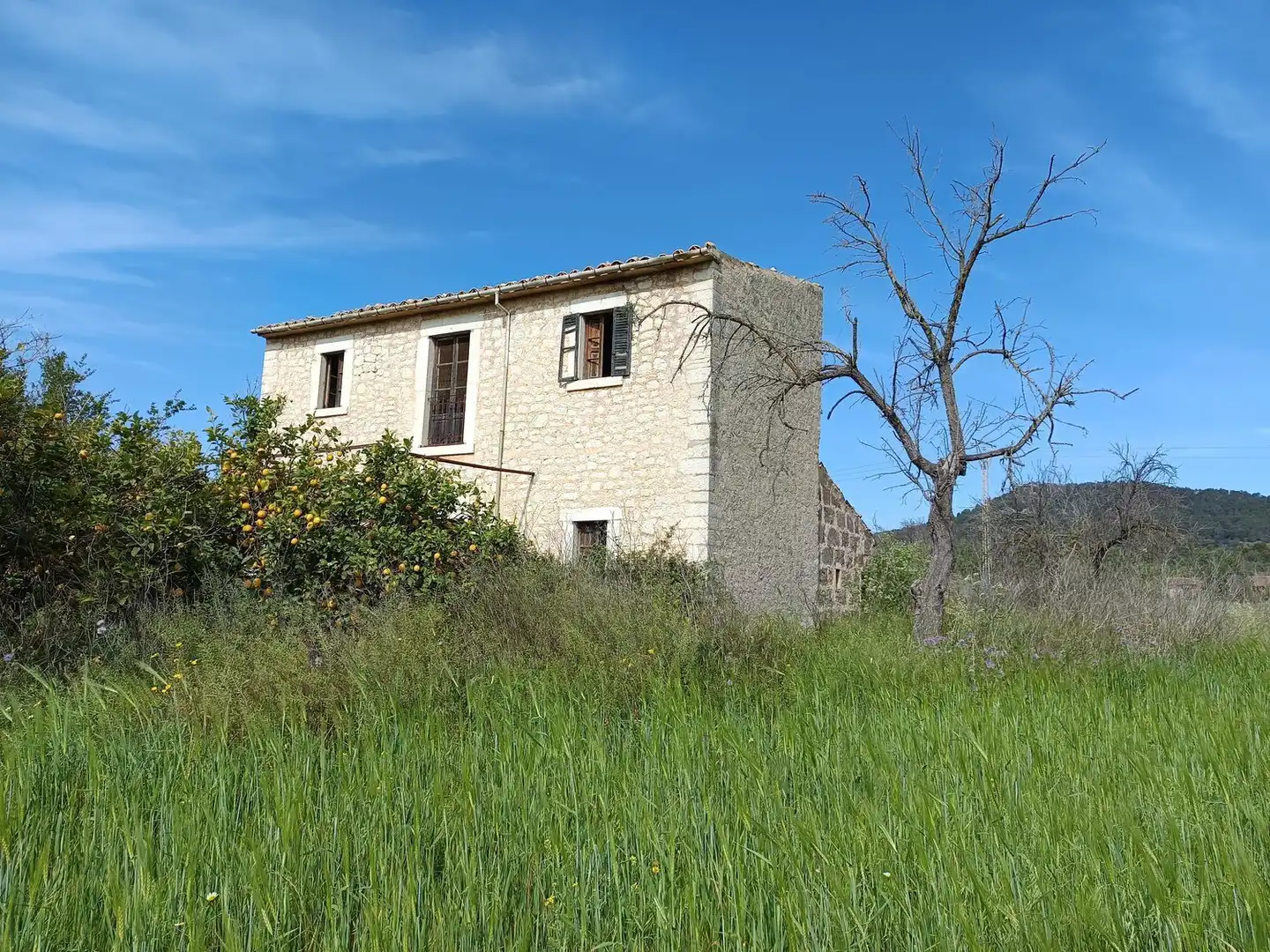 Exterior view of Country homes for sale in Binissalem  with Private garden