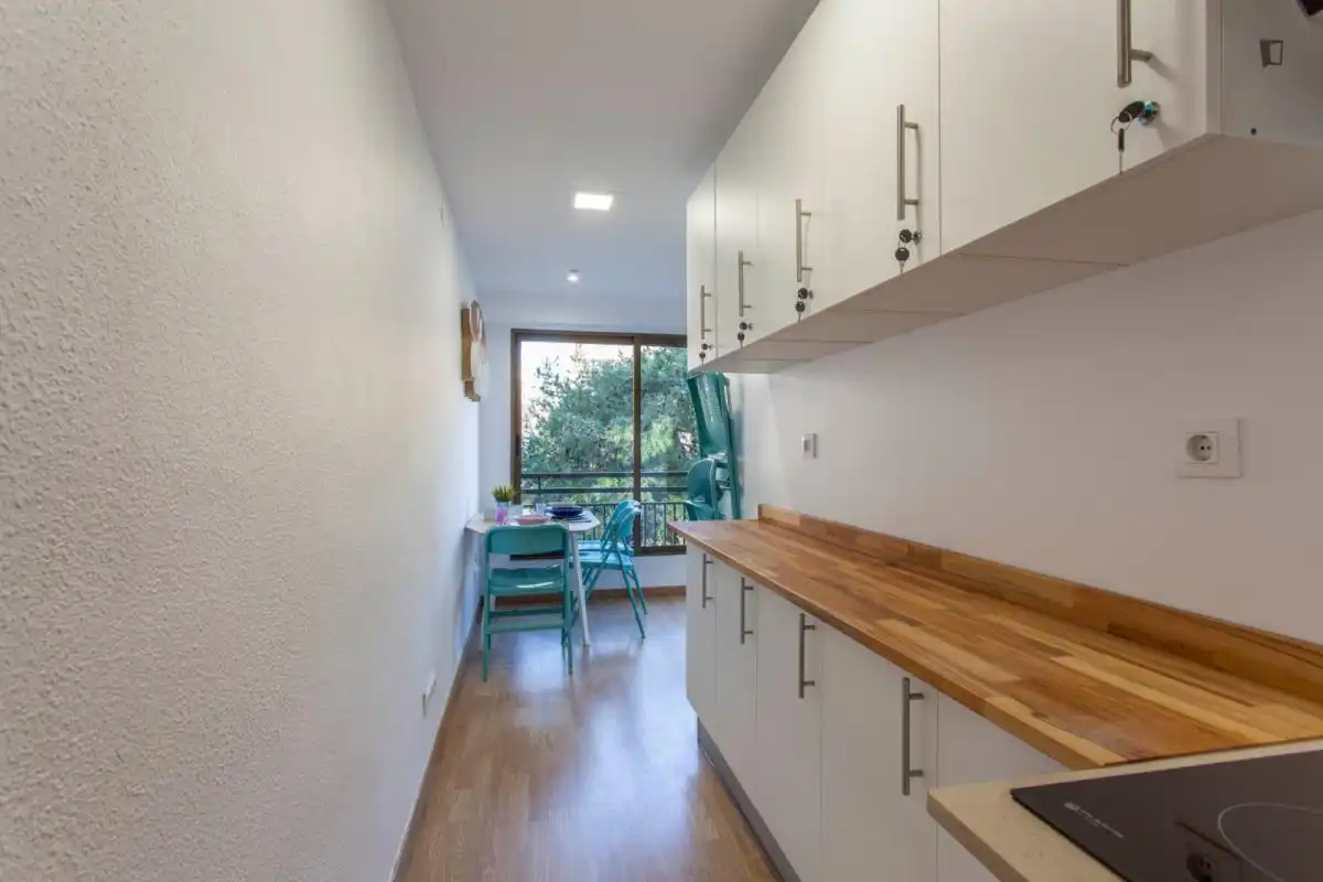 Cocina de Apartamento para compartir en Valencia con Aire acondicionado, Amueblado y Horno